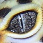 Rakatsou - steam id 76561197967294340