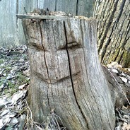 Stump-Man