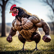 _O_FRANGO