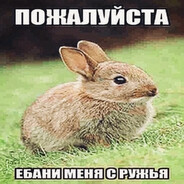 Аватар Куролик