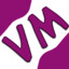 VSM