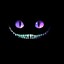 CheShire13