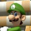 Luigi