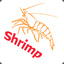 Shrimp