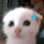 vike