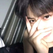 海棠花开就见面