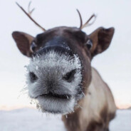 黑起的绝望魔刀