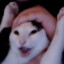 DeiMoN