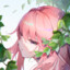 KOKOMI