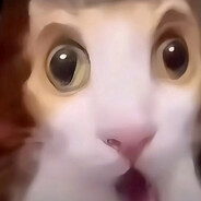 一条菜