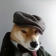 жопа в тумане