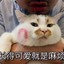 宇宙无敌菜逼阿猫