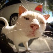 寡人要为爱妃报仇