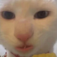 你也就只能玩点开镜的