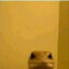 Staring Lizard {SSS+}