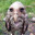 swampdoctor2222 avatar