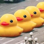 A_Duck