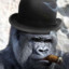 Gaming Gorilla