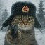 J8猫