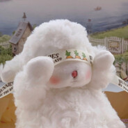 肥猫胖猫加菲猫