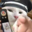 落坨翔子
