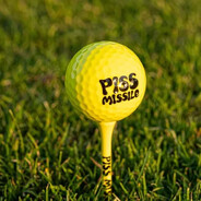 PisMissil8338
