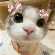 ilya