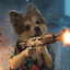 Macthedoggo