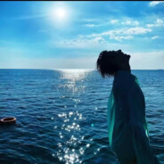 普鲁斯特·顾鮟