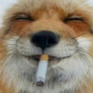 The Toke V2