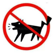 少爷有少爷的心事