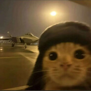 清风与明月俱东