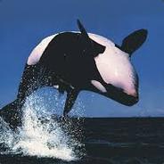 Fructose Orca