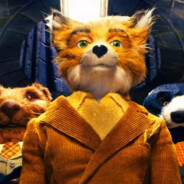 了不起的狐狸哥哥