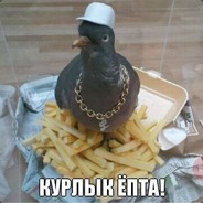 Злой Курлык