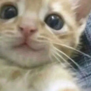 похвалите меня