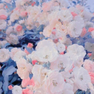 福克斯特福斯克