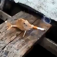 Martin Elefantbössa