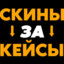 ДАЮ СКИНЫ ЗА КЕЙС