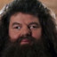 rubeus hagrid