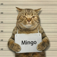 Mingo