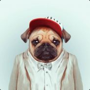 rob1nn
