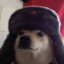 Doggo