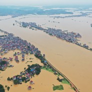 FUCK CCP GFHK freeHK