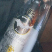 beluga - steam id 76561199473198660