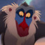 ( Rafiki ) Hakuna Matata