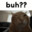 Buhgeet
