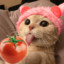 TOMATO&#039;CAT / RURU