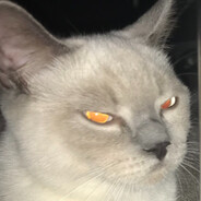 booyak