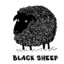 Noir de Sheep